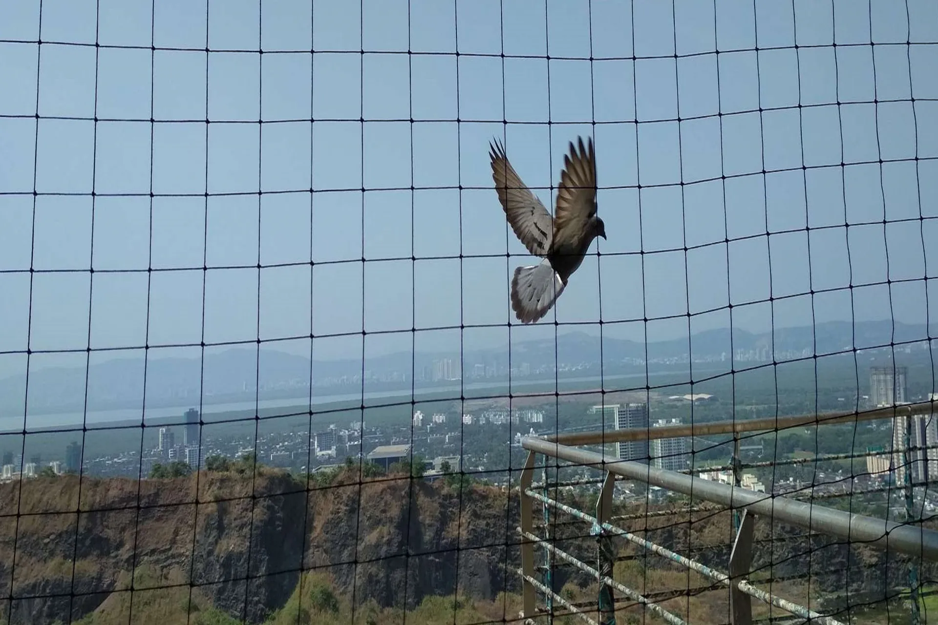 Industrial Bird Netting Pune